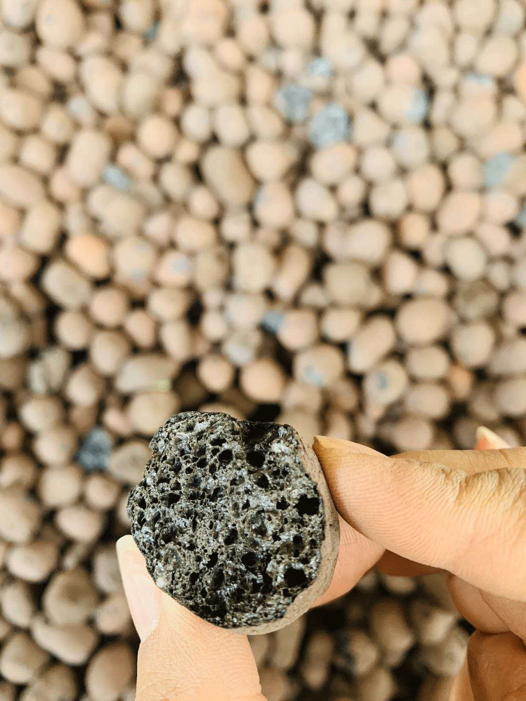 撫州陶粒_撫州陶粒批發_衛生間回填陶粒 撫州陶粒_撫州陶粒批發_衛生間回填陶粒